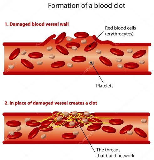 What is Platelet count and function of platelet count 